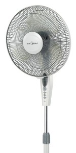 fan